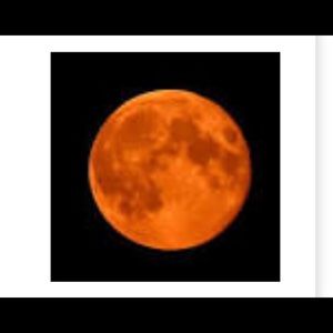 Meet your Posher, Mayra